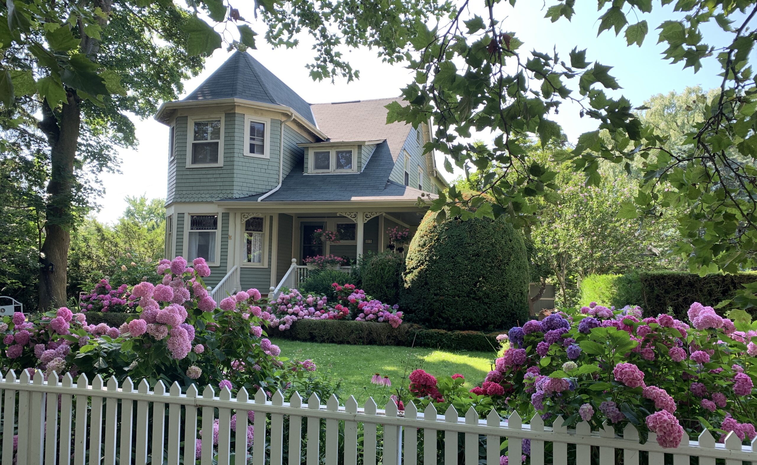 Pretty blue house with pink flowers in Niagara-on-the-Lake