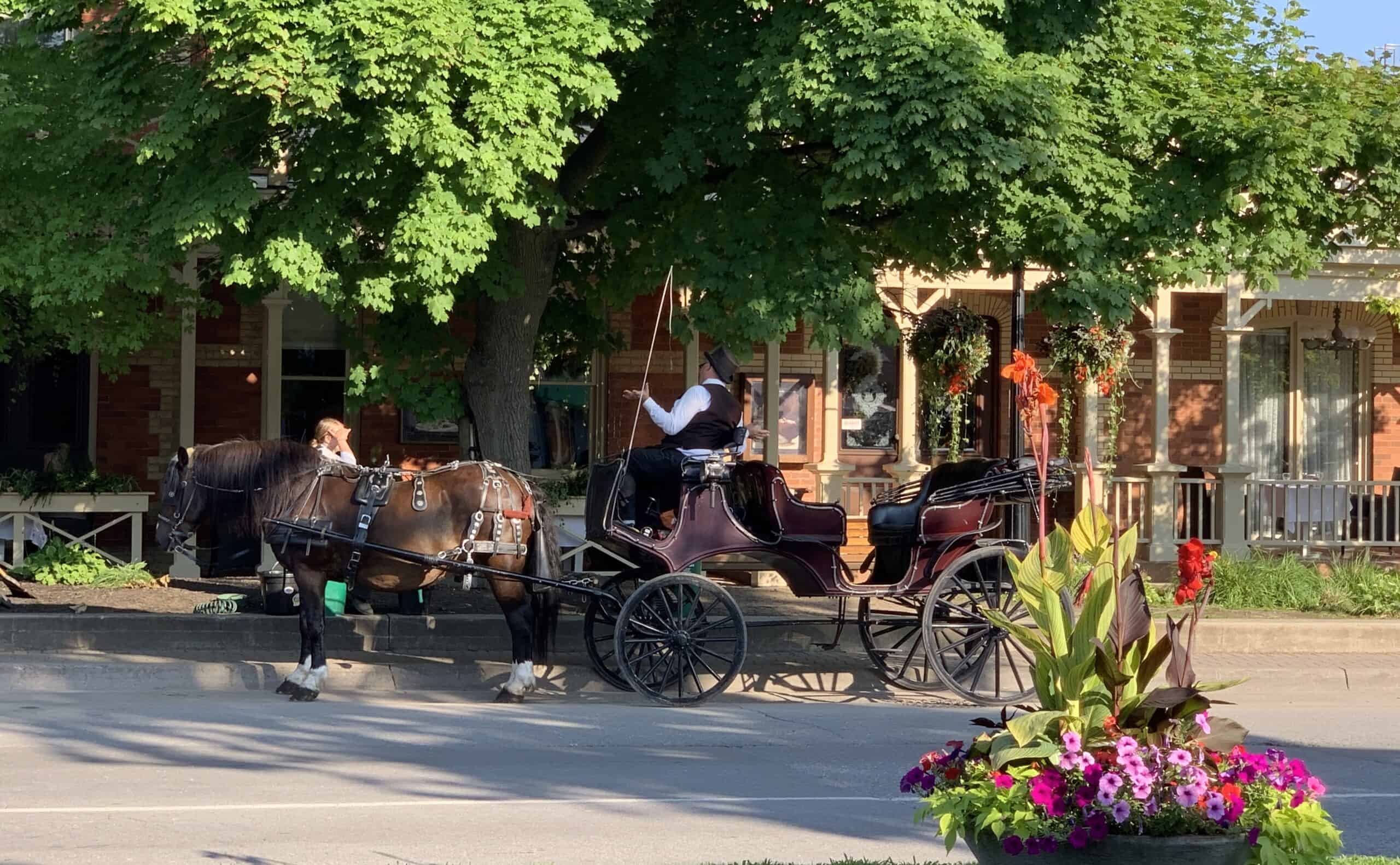 Horse drawn carriage tour in Niagara-on-the-Lake