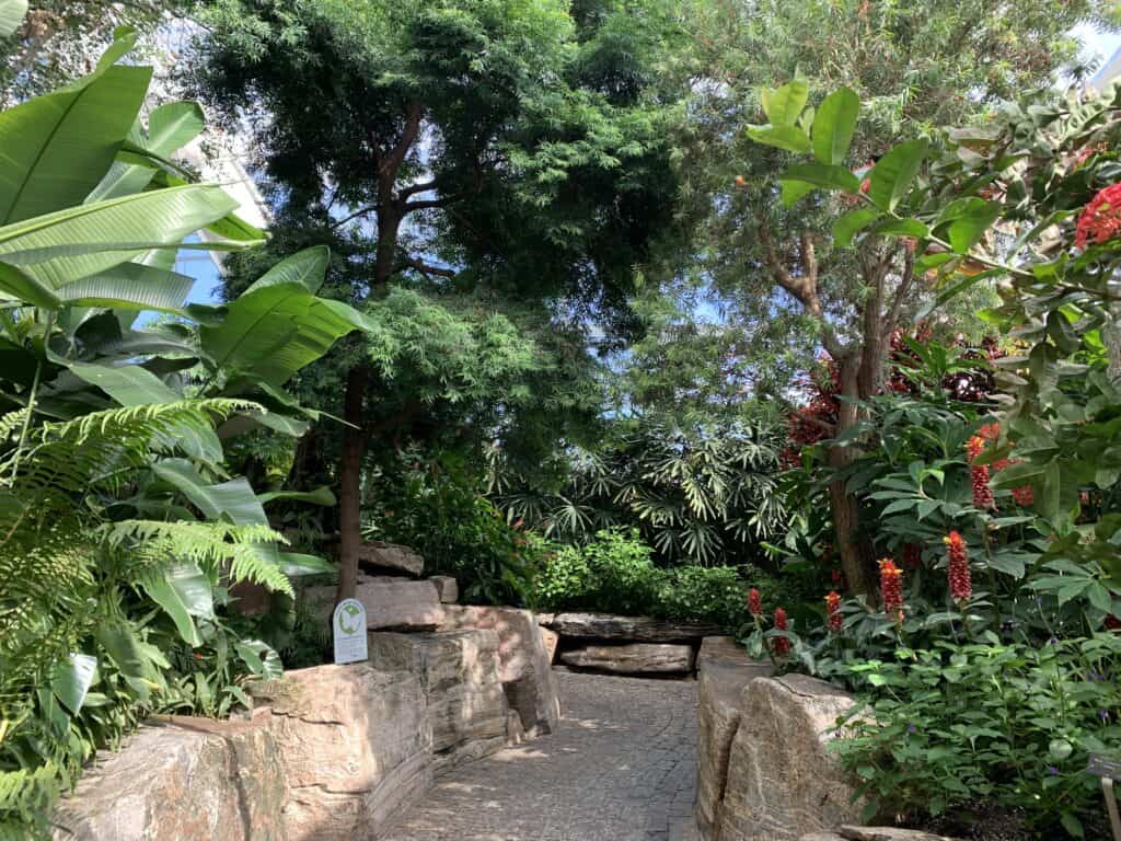 Path inside the butterfly conservatory niagara falls