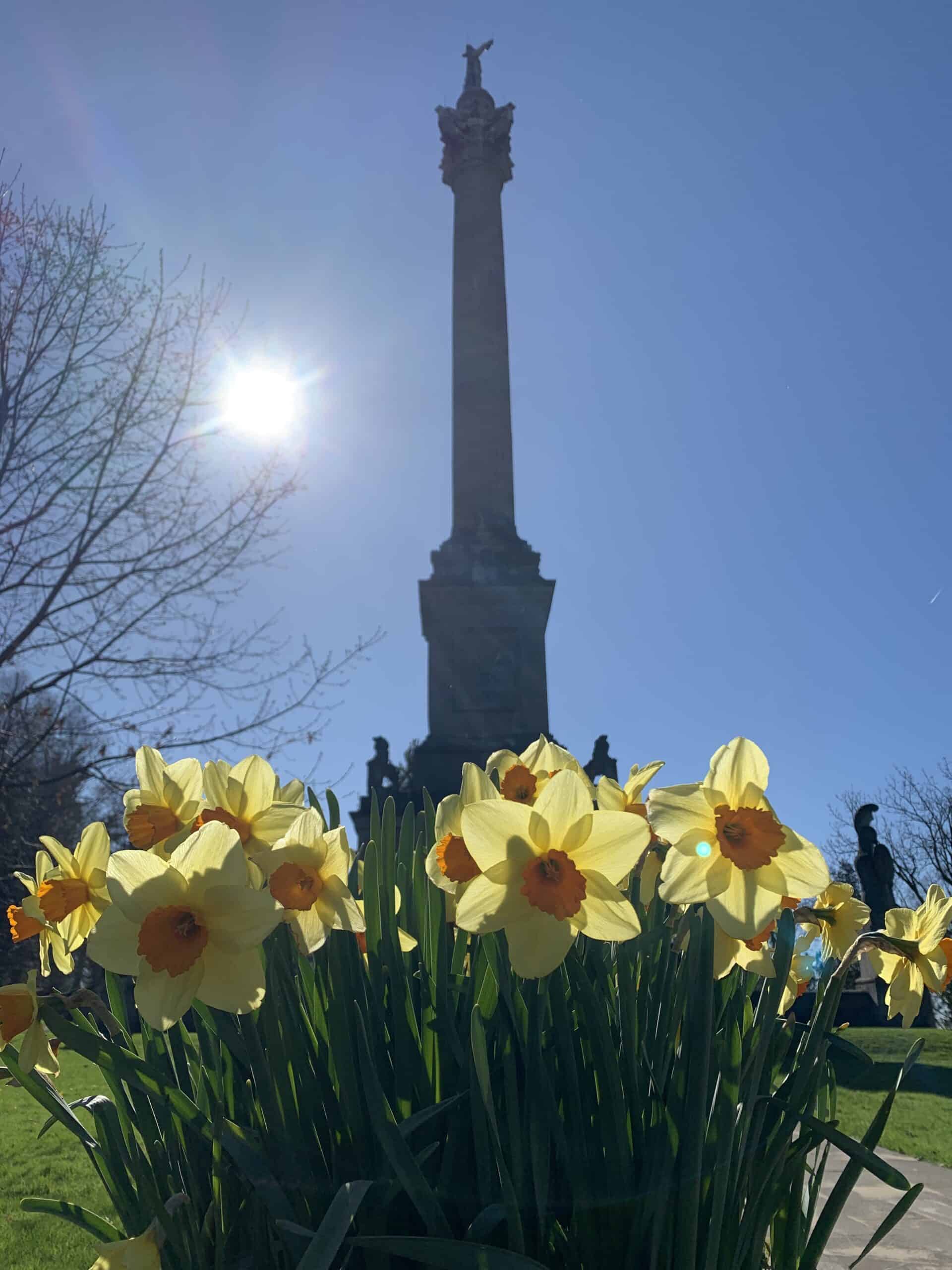 The Brock monument at Queenston Heights Park with daffodils