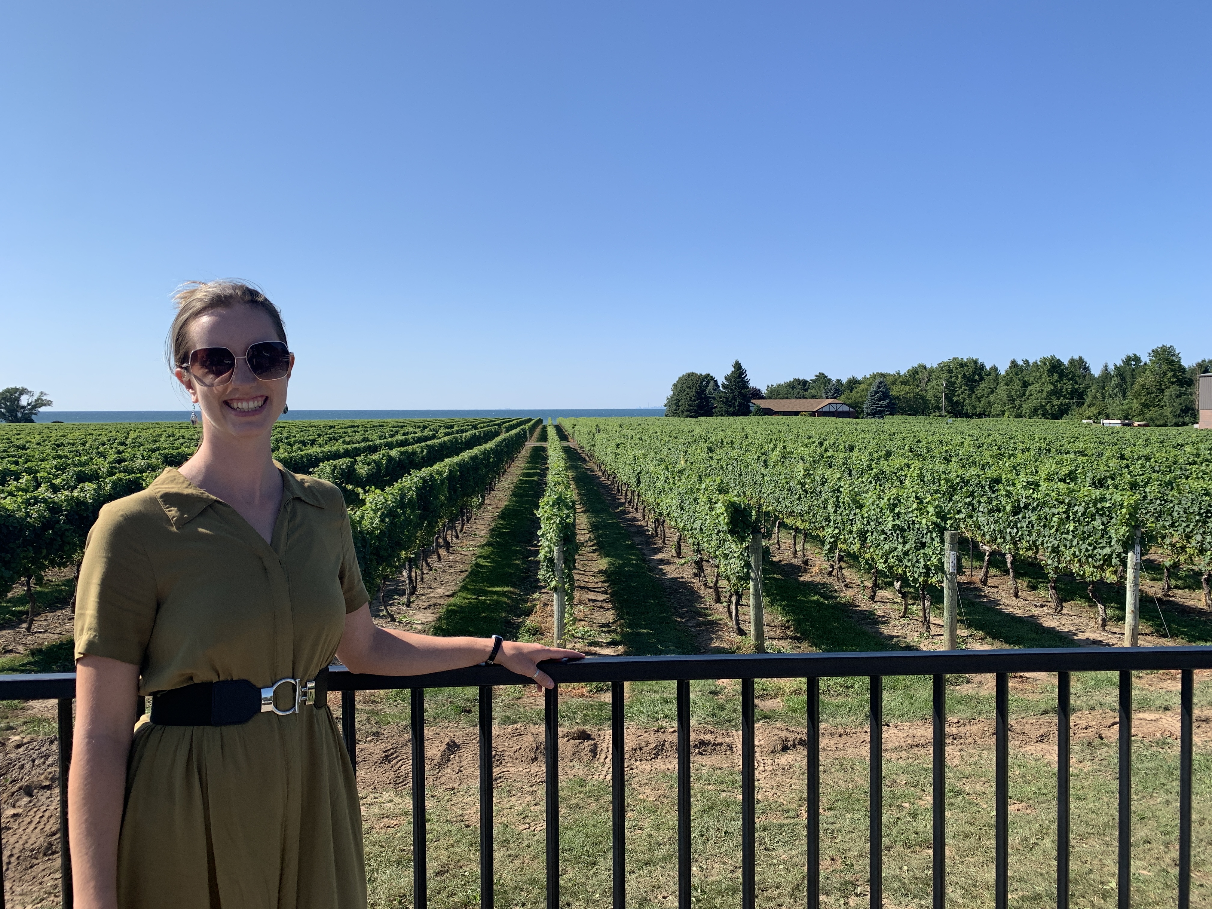 View of Konzelmann's vineyard