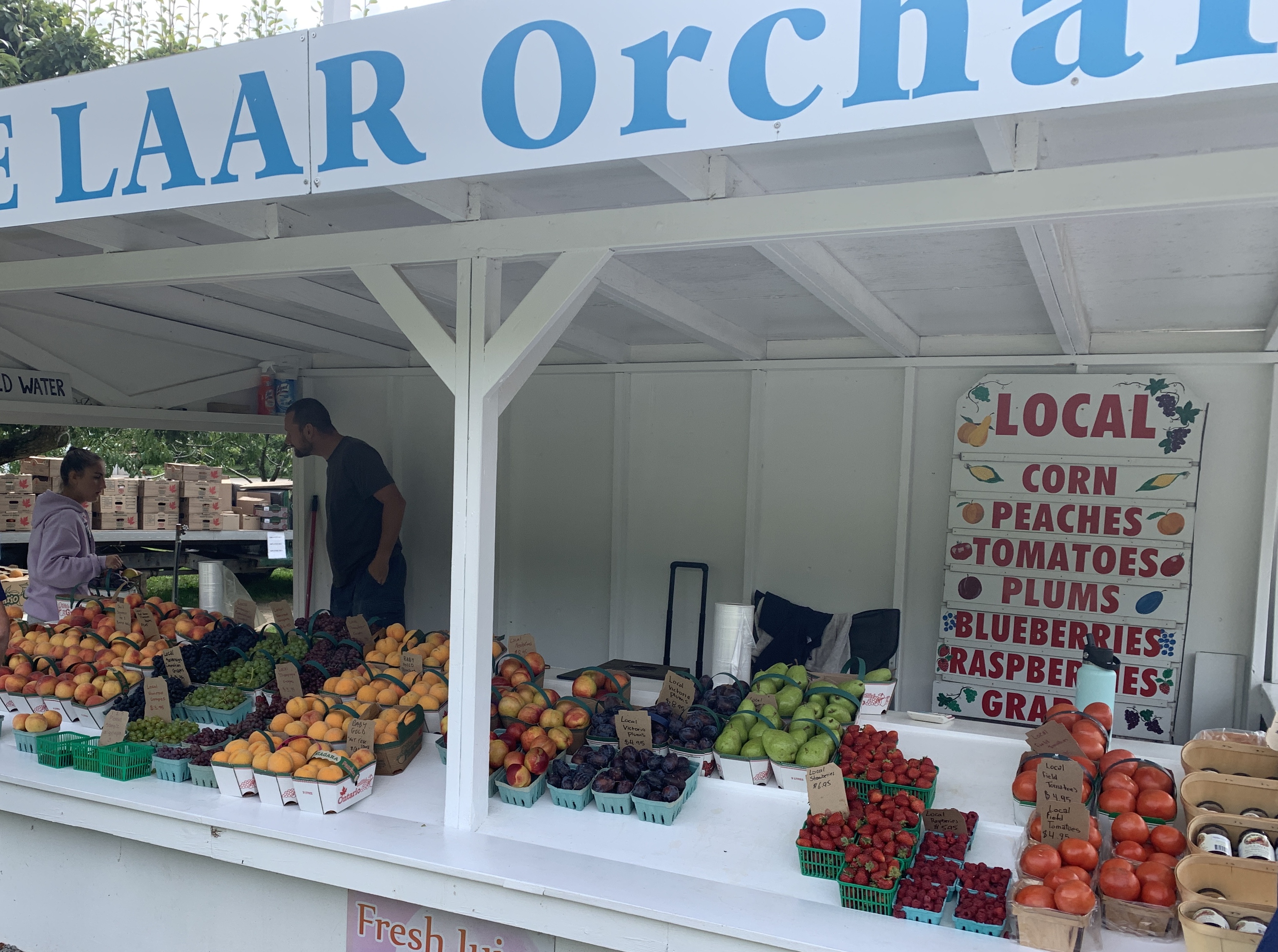 Farm stall on the side of the road selling their fresh fruit