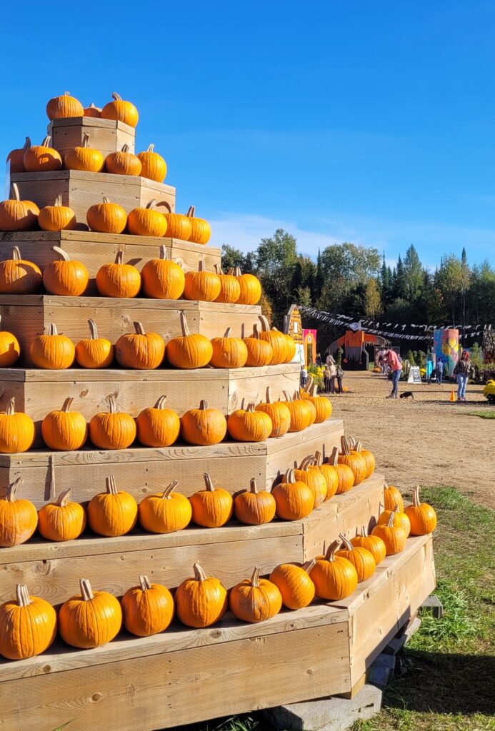 visiting Sandhill nursery is a fun thing to do in Huntsville Ontario