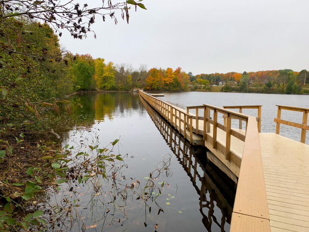 Hunter's bay trail boardwalk