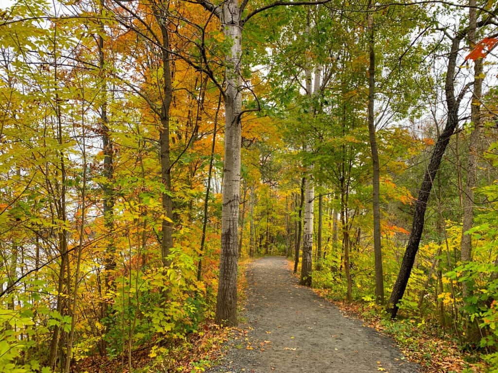 Hunter's bay trail