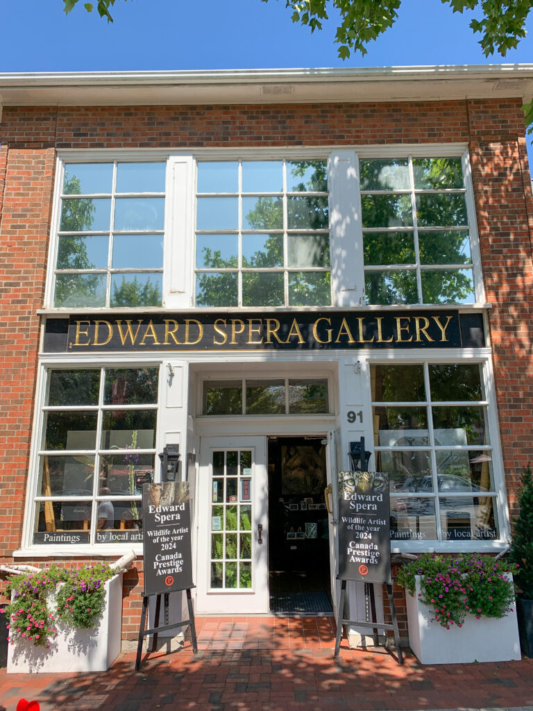 Edward Spera gallery