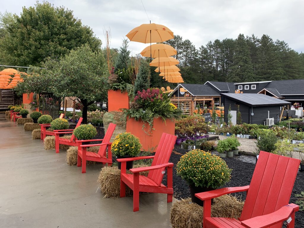 visiting Sandhill nursery is a fun thing to do in Huntsville Ontario