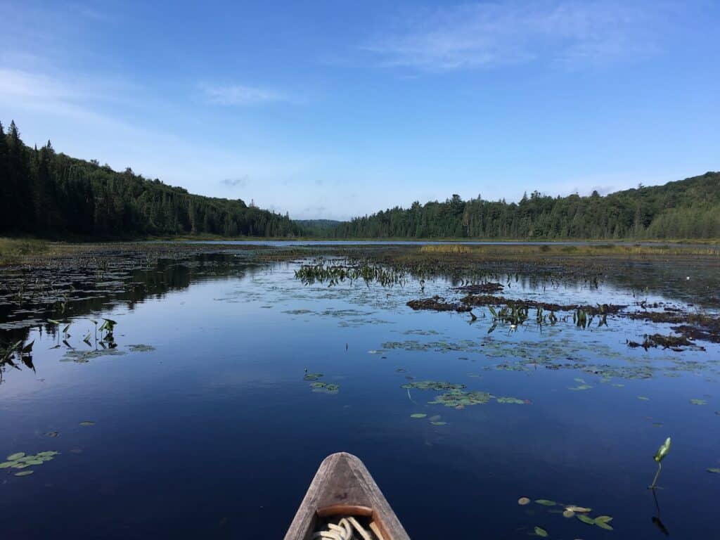 Canoeing in Algonquin Park is a classic thing to do near Huntsville Ontario