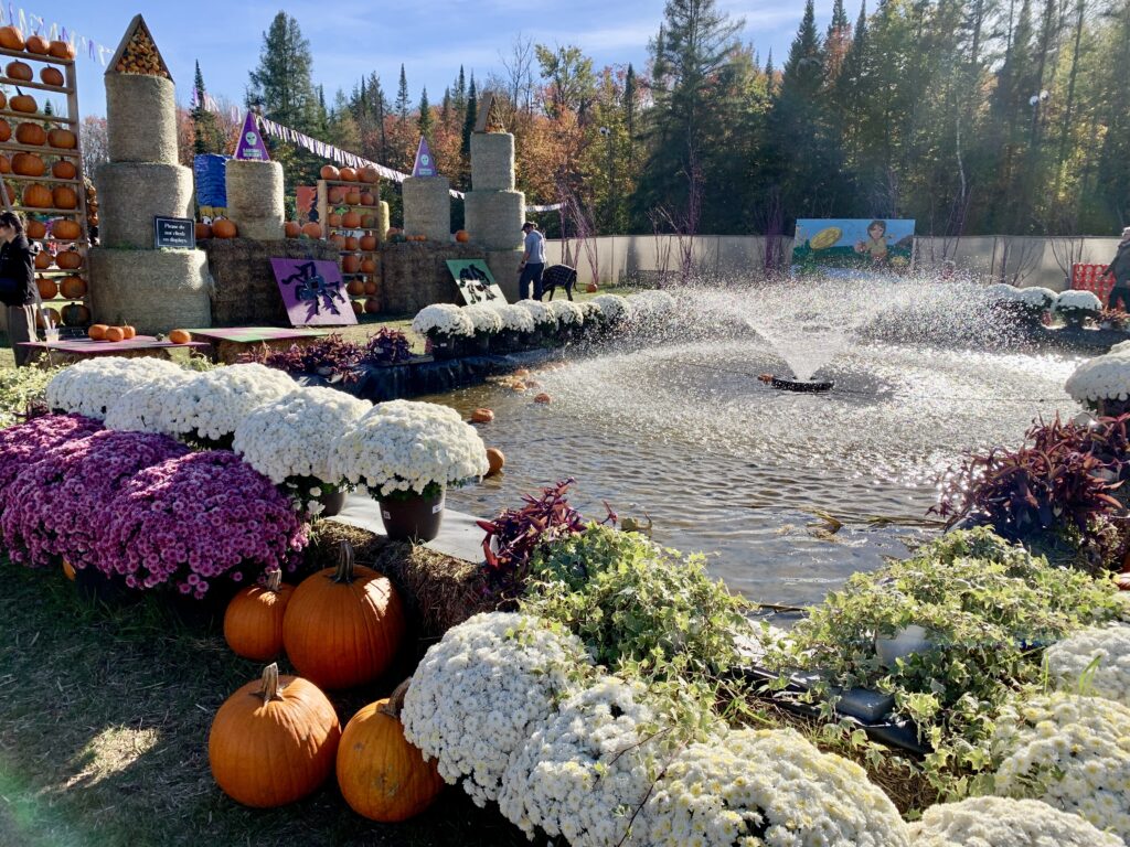 visiting Sandhill nursery is a fun thing to do in Huntsville Ontario