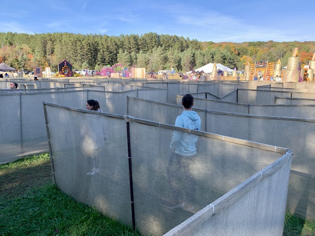 maze area at Sandhill nursery