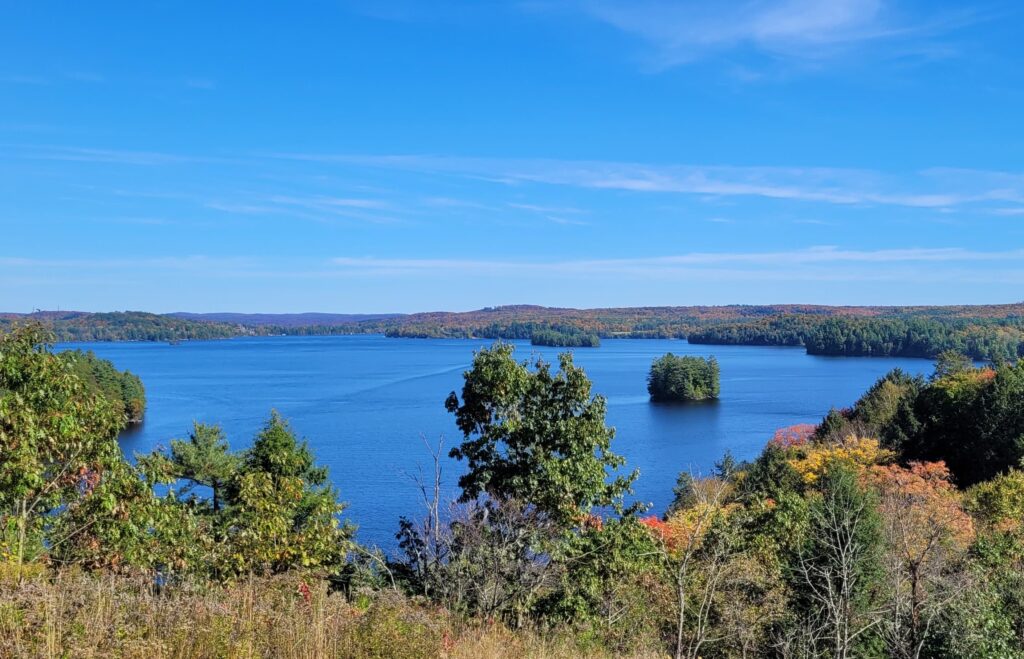 one of the best things to do in Huntsville is to see the views from Lion's Lookout