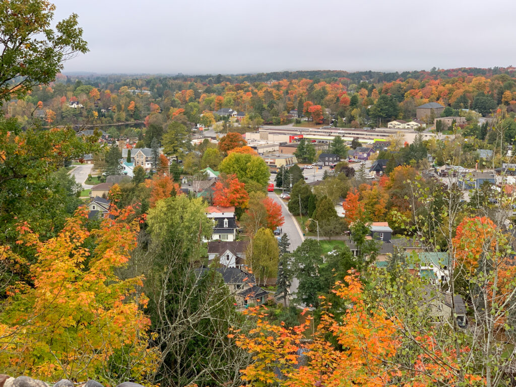 one of the best things to do in Huntsville is to see the views from Lion's Lookout