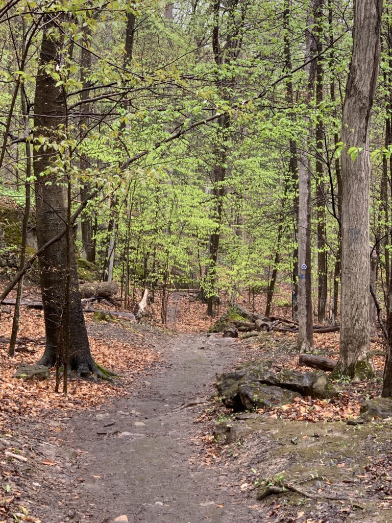 Niagara glen trail