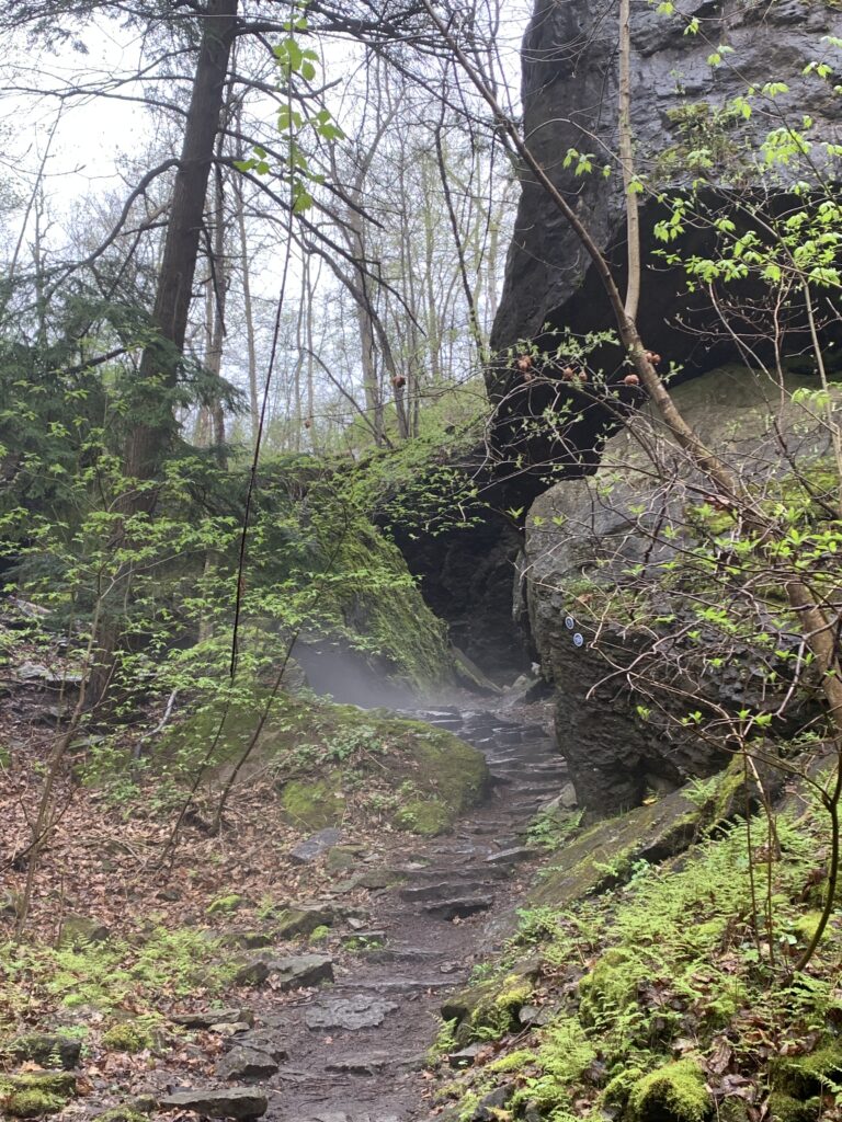 niagara glen tail boulders