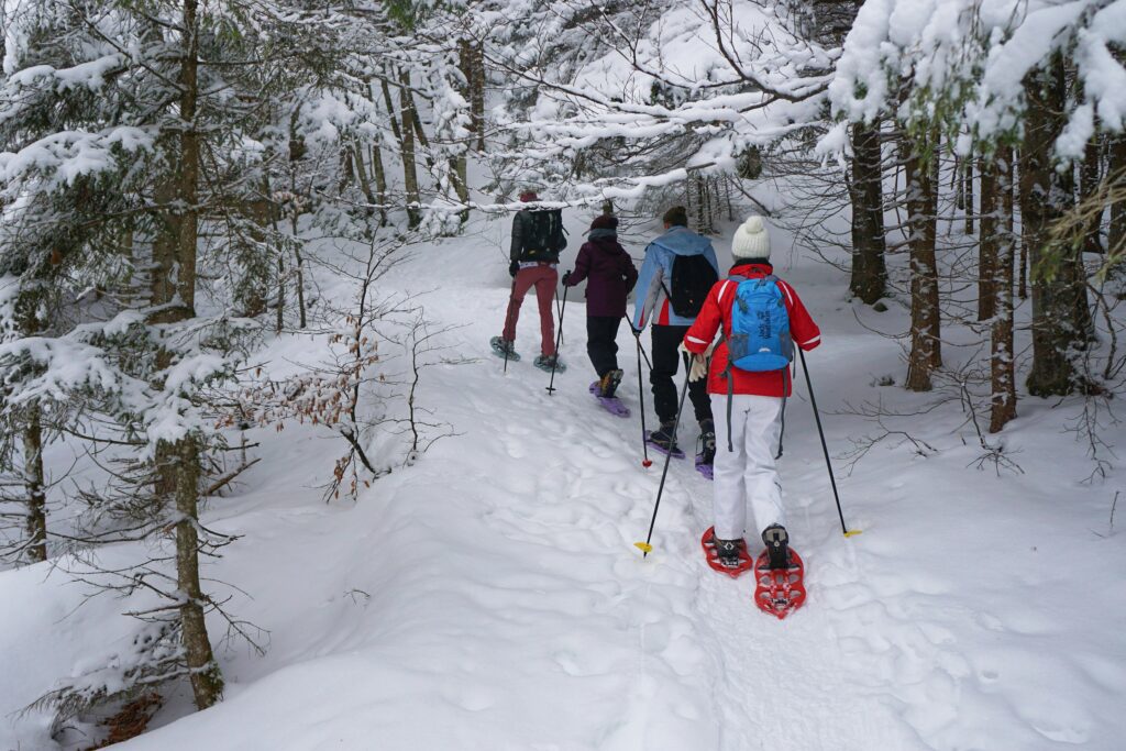 Four people snowshoeing in a muskoka forest in winter