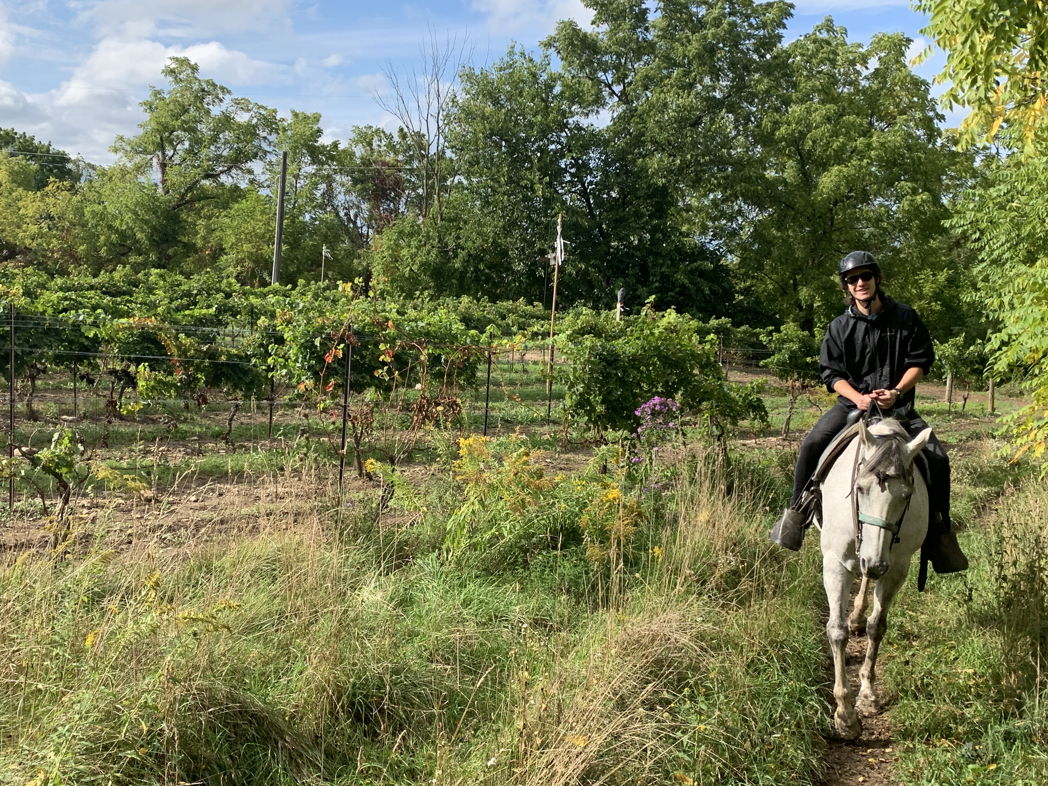 Trail riding next to grape vines on the Niagara escarpment