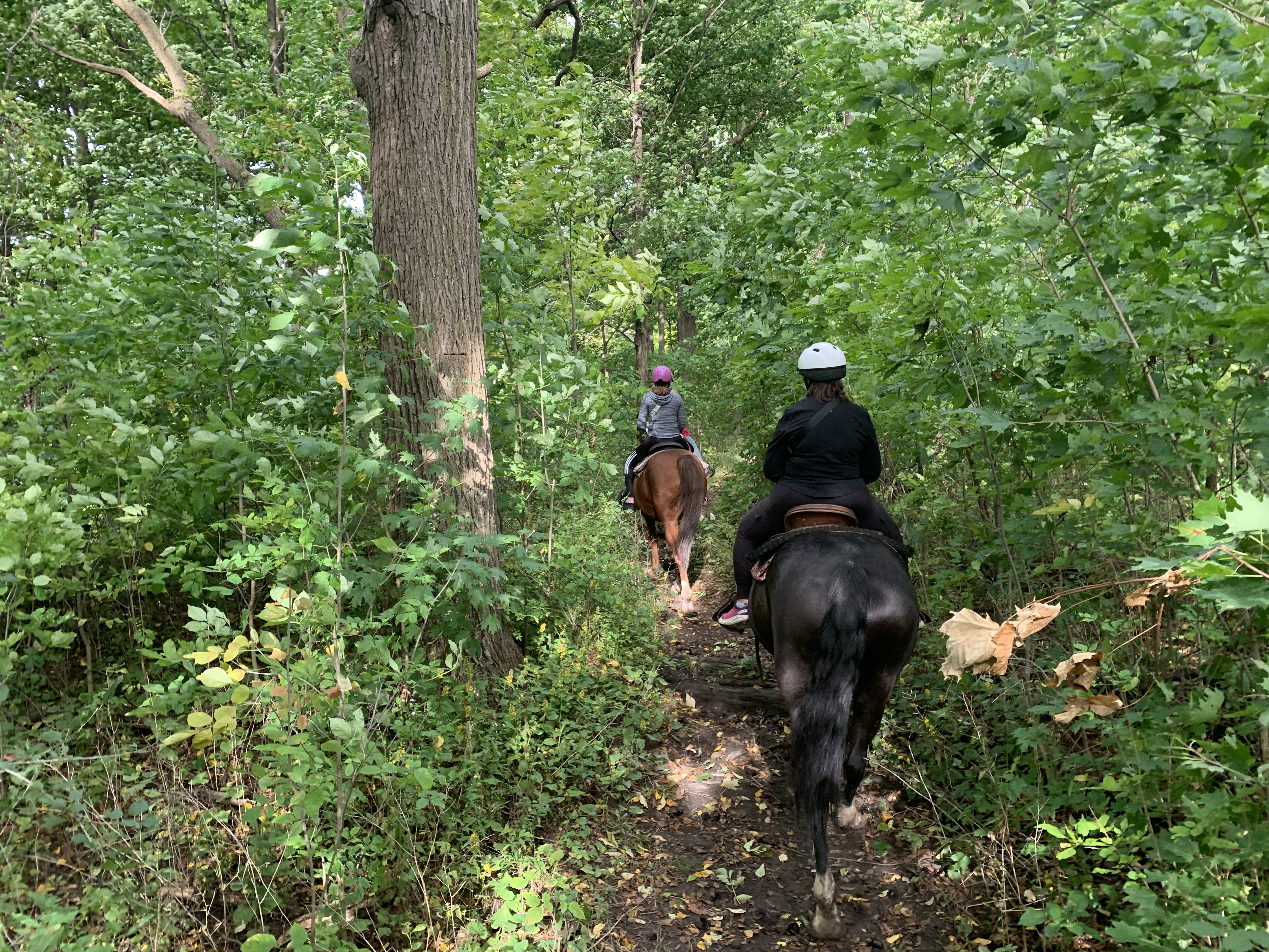 niagara trail riding