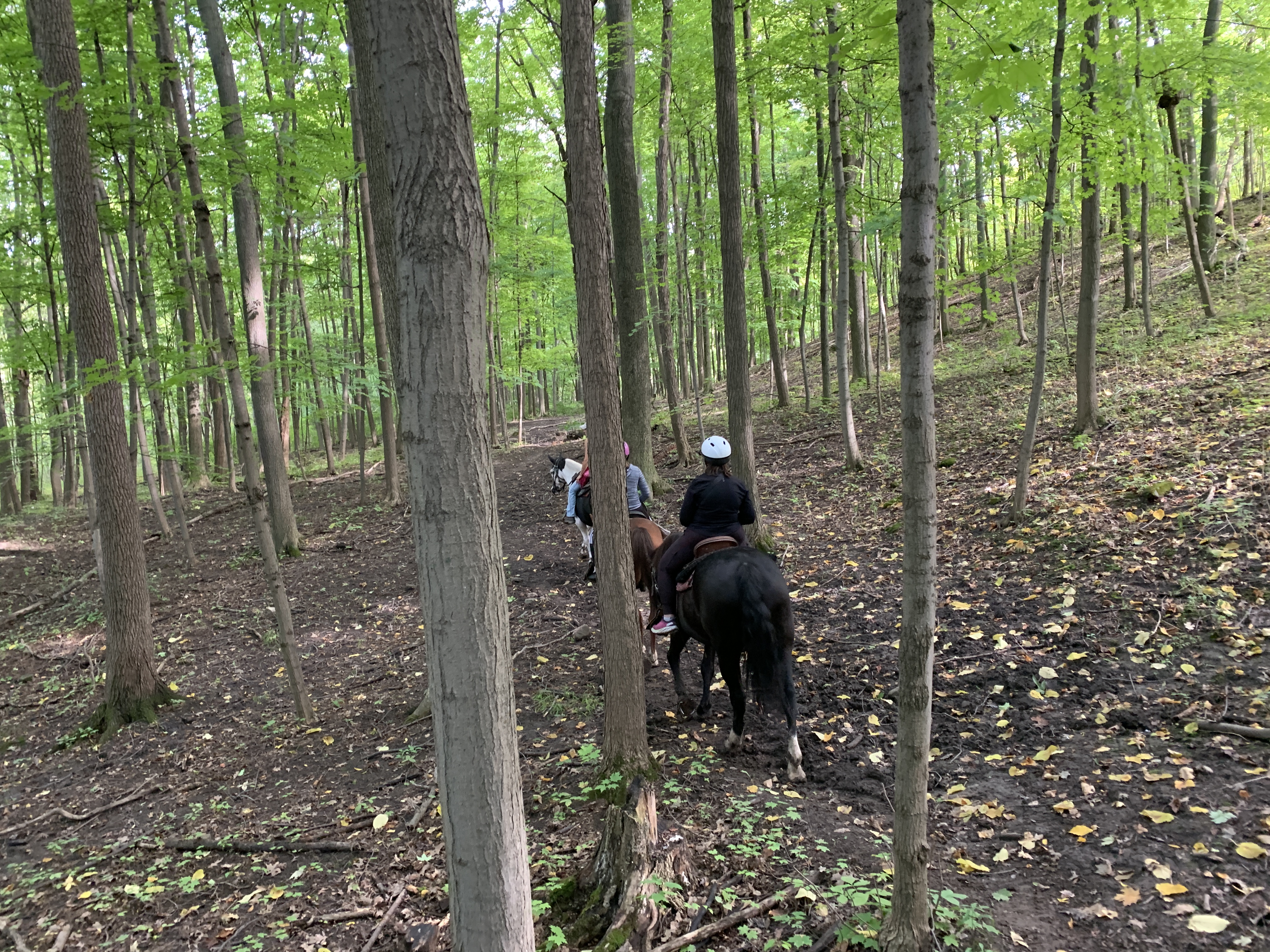 Niagara trail riding