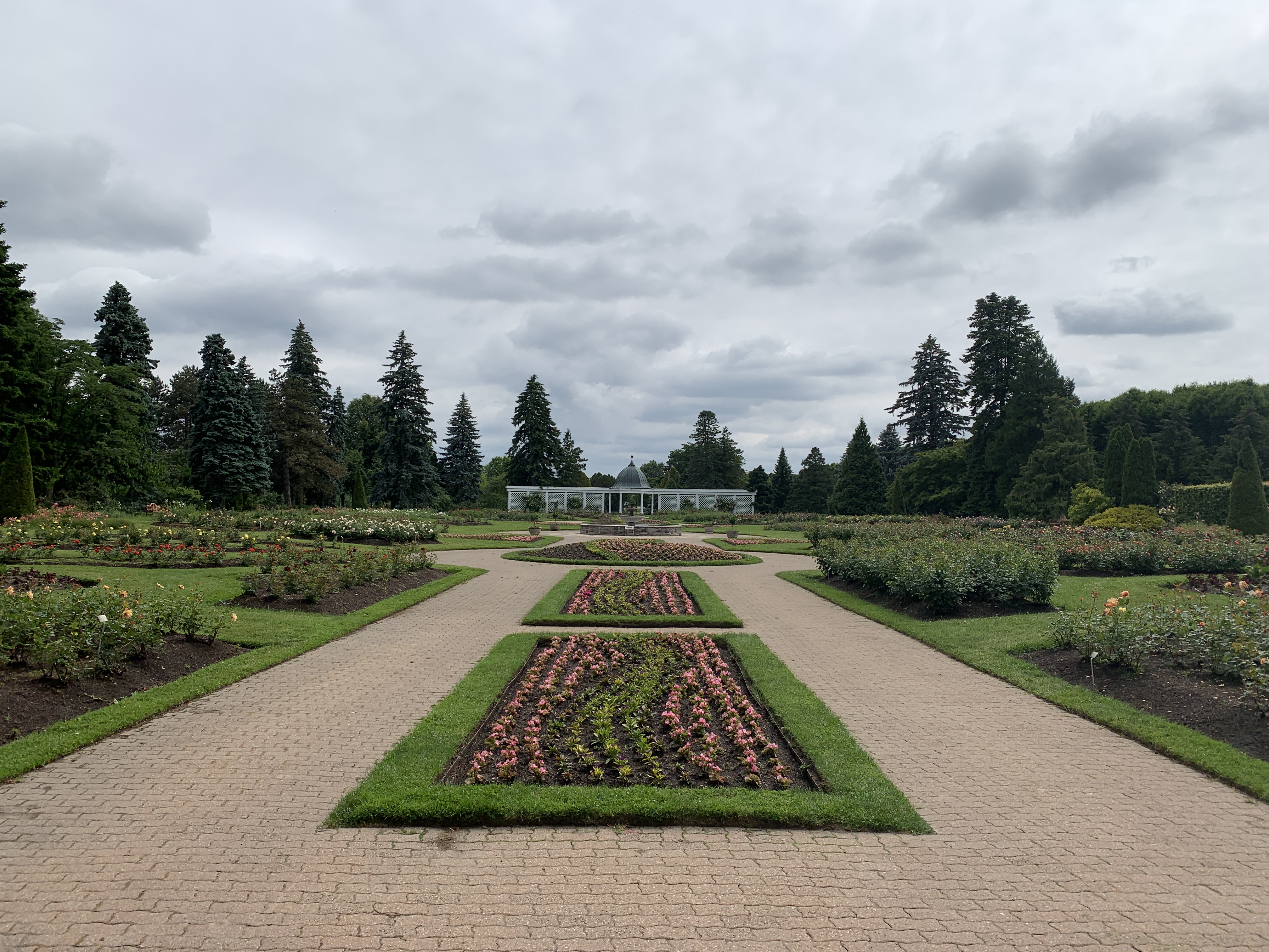 rose garden