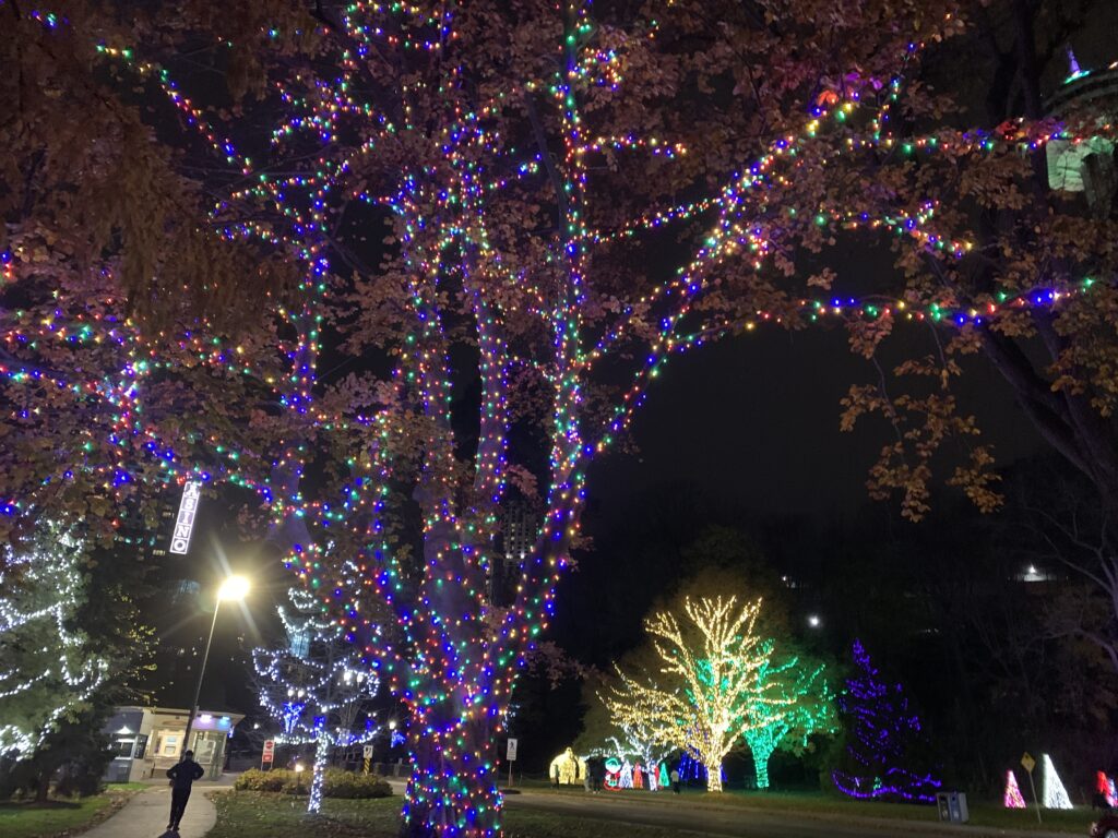 The Festival of Lights decorates many trees with lights during the winter in Niagara Falls.