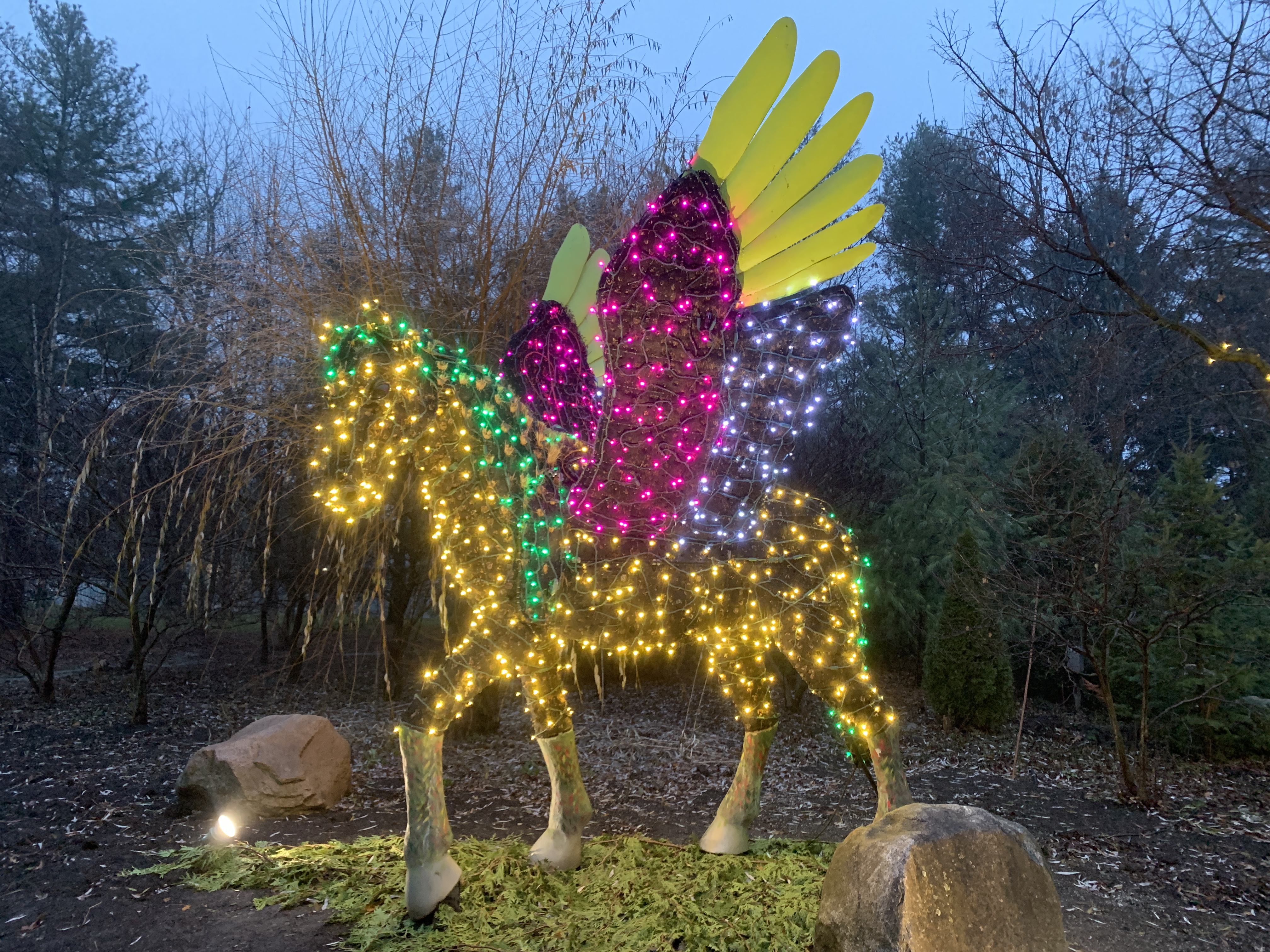 Pegasus display in the garden covered in coloured lights.