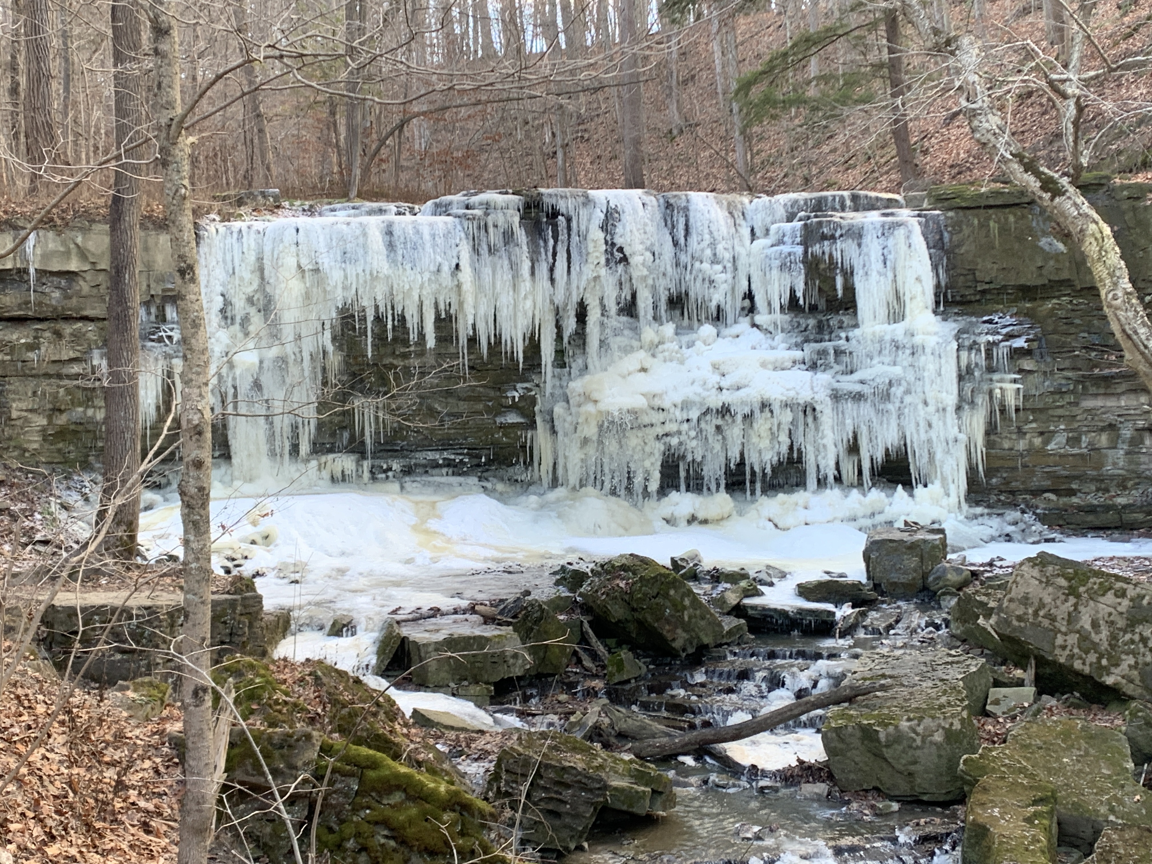 A frozen waterfall on the Terrace Creek Trail, with cascading icicles clinging to rocky layers and snow-dusted ground. Bare trees frame the wintry scene in a quiet forest setting. A great spot to disconnect from the city on a day trip from Toronto.