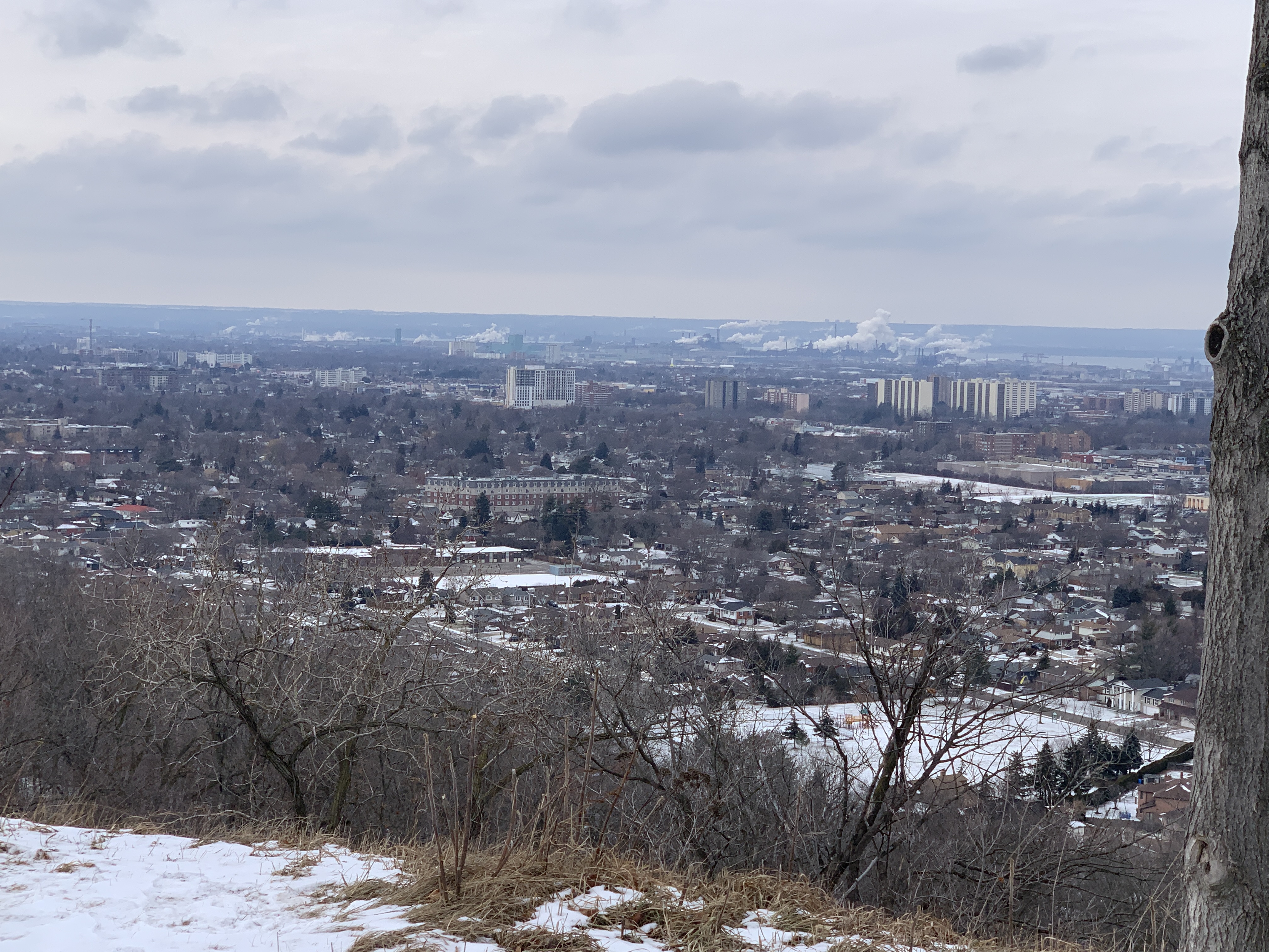 A panoramic view of Hamilton from the Devil's Punchbowl, featuring city buildings under a cloudy winter sky. The foreground is dotted with bare trees on the snow-covered escarpment.